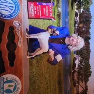 Meet your Posher, Carolyn